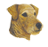 (image for) Airedale Notepad